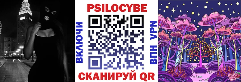 где купить   Ряжск  Галлюциногенные грибы MAGIC MUSHROOMS 